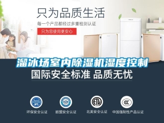 行業(yè)新聞溜冰場室內(nèi)除濕機(jī)濕度控制