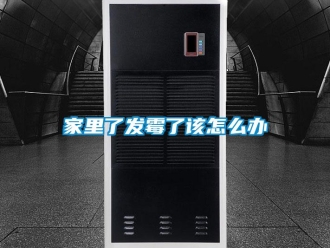 常見(jiàn)問(wèn)題家里了發(fā)霉了該怎么辦