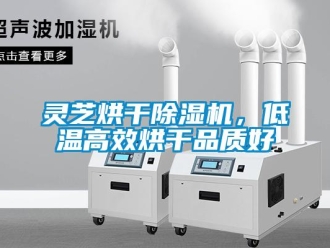行業(yè)新聞靈芝烘干除濕機(jī)，低溫高效烘干品質(zhì)好