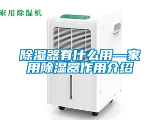 行業(yè)新聞除濕器有什么用—家用除濕器作用介紹