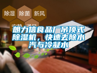 行業(yè)新聞朗力信食品廠吊頂式除濕機(jī)，快速去除水汽與冷凝水