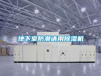 企業(yè)新聞地下室防潮請用除濕機(jī)