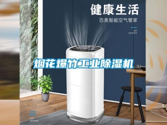 知識(shí)百科煙花爆竹工業(yè)除濕機(jī)