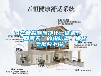 行業(yè)新聞國產(chǎn)新款除濕凈化一體機：“回南天”的終結(jié)者，凈化除濕兩不誤！