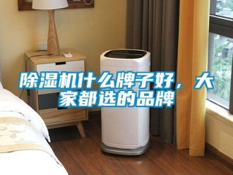 企業(yè)新聞除濕機(jī)什么牌子好，大家都選的品牌