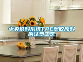 知識(shí)百科中央供料系統(tǒng)TPE塑膠原料的注塑工藝