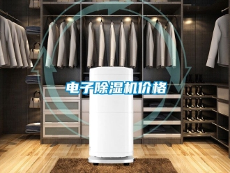 企業(yè)新聞電子除濕機(jī)價(jià)格