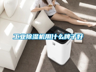 常見問題工業(yè)除濕機用什么牌子好