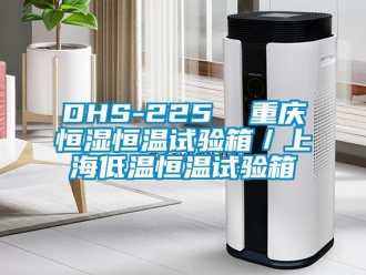常見問題DHS-225  重慶恒濕恒溫試驗(yàn)箱／上海低溫恒溫試驗(yàn)箱