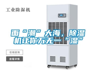 行業(yè)新聞面“潮”大海，除濕機(jī)讓你萬無一“濕”