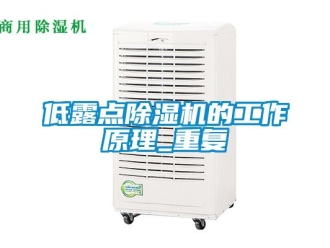 行業(yè)新聞低露點(diǎn)除濕機(jī)的工作原理_重復(fù)