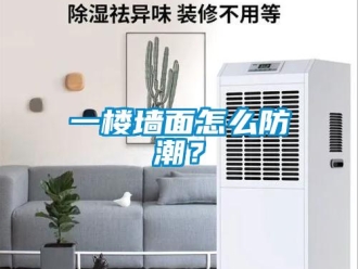 常見問題一樓墻面怎么防潮？