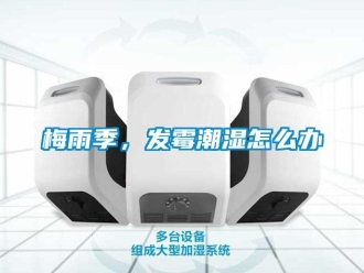 常見(jiàn)問(wèn)題梅雨季，發(fā)霉潮濕怎么辦