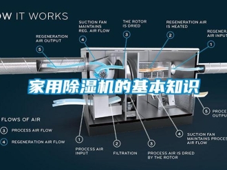 行業(yè)新聞家用除濕機(jī)的基本知識(shí)