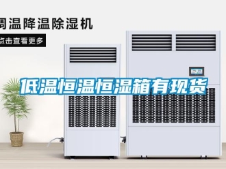 知識(shí)百科低溫恒溫恒濕箱有現(xiàn)貨