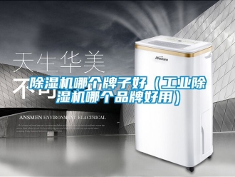 常見問題除濕機哪個牌子好（工業(yè)除濕機哪個品牌好用）