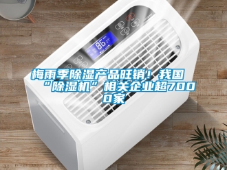 行業(yè)新聞梅雨季除濕產(chǎn)品旺銷！我國“除濕機(jī)”相關(guān)企業(yè)超7000家
