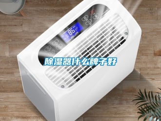 行業(yè)新聞除濕器什么牌子好