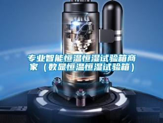知識(shí)百科專(zhuān)業(yè)智能恒溫恒濕試驗(yàn)箱商家（數(shù)顯恒溫恒濕試驗(yàn)箱）