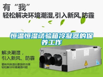 知識(shí)百科恒溫恒濕試驗(yàn)箱冷凝器的保養(yǎng)工作