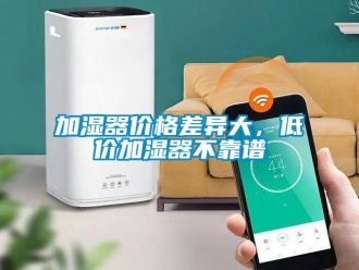 行業(yè)新聞加濕器價(jià)格差異大，低價(jià)加濕器不靠譜