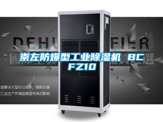 企業(yè)新聞崇左防爆型工業(yè)除濕機(jī) BCFZ10
