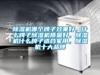 企業(yè)新聞除濕機哪個牌子效果好，什么牌子除濕機質(zhì)量好，除濕機什么牌子適合家用，除濕機十大品牌