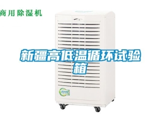 常見問題新疆高低溫循環(huán)試驗(yàn)箱