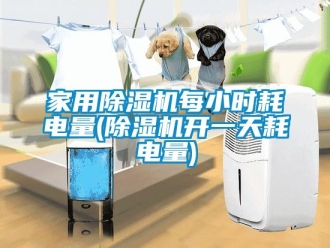 常見問題家用除濕機(jī)每小時(shí)耗電量(除濕機(jī)開一天耗電量)