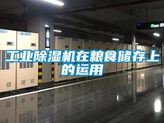 企業(yè)新聞工業(yè)除濕機(jī)在糧食儲(chǔ)存上的運(yùn)用