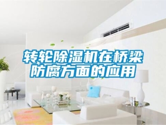 常見問題轉輪除濕機在橋梁防腐方面的應用