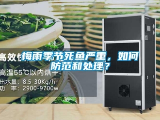 常見問題梅雨季節(jié)死魚嚴(yán)重，如何防范和處理？
