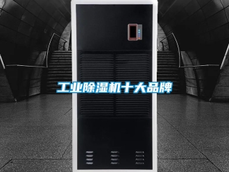 常見問題工業(yè)除濕機(jī)十大品牌