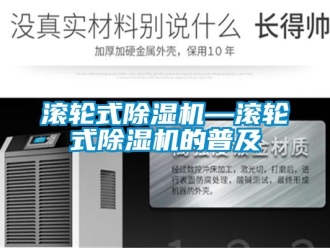 行業(yè)新聞滾輪式除濕機—滾輪式除濕機的普及
