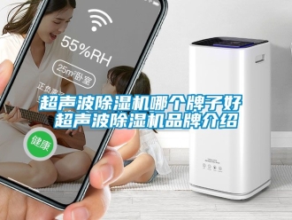 企業(yè)新聞超聲波除濕機哪個牌子好 超聲波除濕機品牌介紹