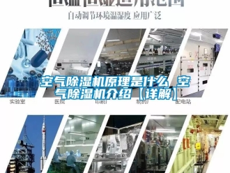 行業(yè)新聞空氣除濕機原理是什么 空氣除濕機介紹【詳解】