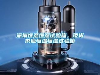 知識(shí)百科深圳恒溫恒濕試驗(yàn)箱，現(xiàn)貨供應(yīng)恒溫恒濕試驗(yàn)箱