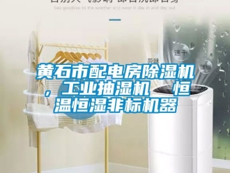 常見問題黃石市配電房除濕機(jī)，工業(yè)抽濕機(jī)  恒溫恒濕非標(biāo)機(jī)器