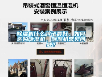 行業(yè)新聞除濕機(jī)什么牌子最好，如何選購除濕機(jī)，除濕機(jī)常見問題？