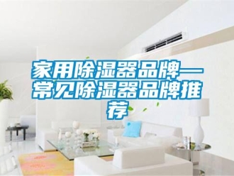 行業(yè)新聞家用除濕器品牌—常見(jiàn)除濕器品牌推薦