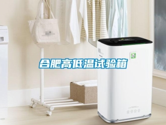 常見問題合肥高低溫試驗箱