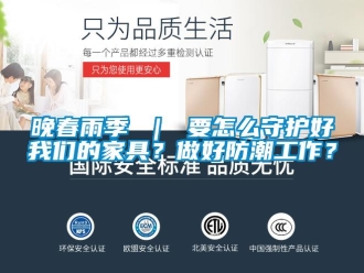 常見問題晚春雨季 ｜ 要怎么守護(hù)好我們的家具？做好防潮工作？