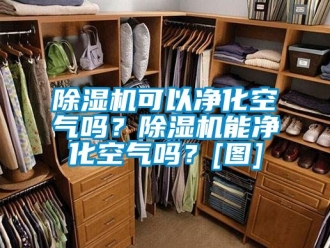 行業(yè)新聞除濕機可以凈化空氣嗎？除濕機能凈化空氣嗎？[圖]