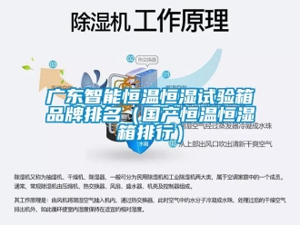 知識(shí)百科廣東智能恒溫恒濕試驗(yàn)箱品牌排名（國(guó)產(chǎn)恒溫恒濕箱排行）