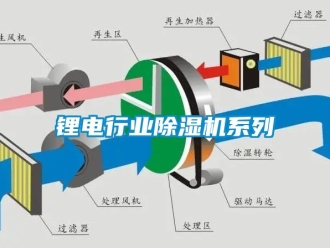 行業(yè)新聞鋰電行業(yè)除濕機系列