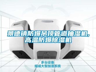 企業(yè)新聞景德鎮(zhèn)防爆吊頂管道抽濕機,高溫防爆除濕機