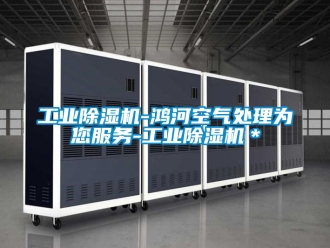 常見(jiàn)問(wèn)題工業(yè)除濕機(jī)-鴻河空氣處理為您服務(wù)-工業(yè)除濕機(jī)＊