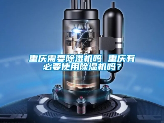 行業(yè)新聞重慶需要除濕機(jī)嗎 重慶有必要使用除濕機(jī)嗎？