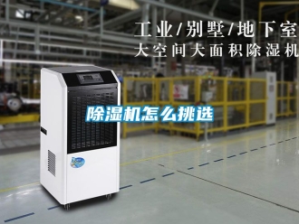 行業(yè)新聞除濕機怎么挑選