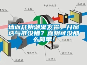 行業(yè)新聞墻面開始潮濕發(fā)霉，開窗透氣準沒錯？真相可沒那么簡單！